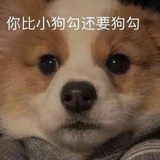 甜橙小苏打