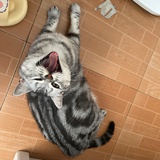 _学渣的学霸梦_