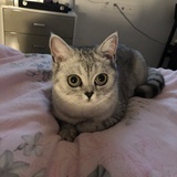 胡胡胡