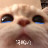 霹雳猪猪