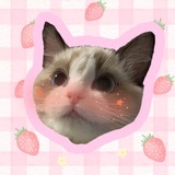 含