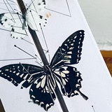 新兴世界学习者