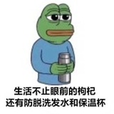 呆呆西的树洞