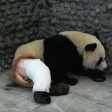 漏儿的阿爸