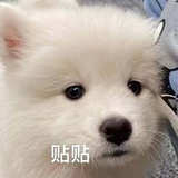 神兵天降