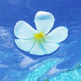 落流风