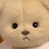 莉娜熊宝