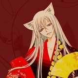 杜鲁克的猫
