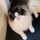 。