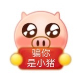 小猪包公主🐷