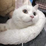 任几