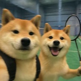 洗哇哇🐶