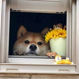 啦啦啦啦啦～