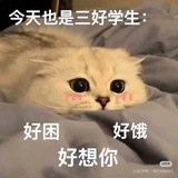 月亮不在天上