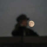 Everymoon