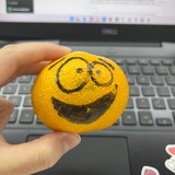 菜菜子