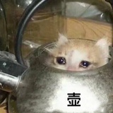 黄泉你蝶