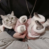 奶味小欢喜