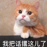 是你爹