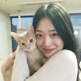 秋千摇碎大风