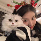 小羊椰子