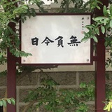 momo是个常用名