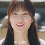 白鹤少年