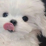 别管我了