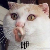 xr。