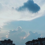 兮颜