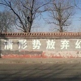 张彬彬