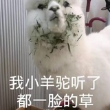 葫芦塔外扫地僧