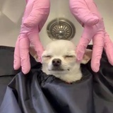 就爱看点乐子