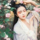 凉城薄梦风轻眠_