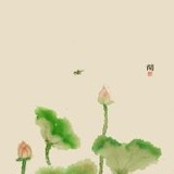 慢慢行慢慢看