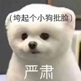 今天恰什么