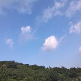 高不高