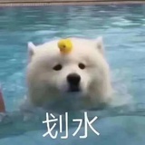 奶盐甜糖