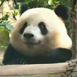 宝宝不开心