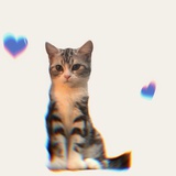 伊伊