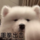 怎么肥四