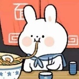 可爱小熊熊11
