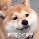 黑色的不是夜晚