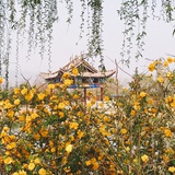 多读书 多思考