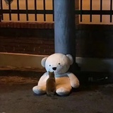 人间风月