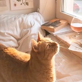 孔安