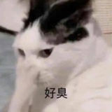 逆风如解意