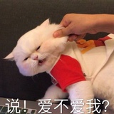 苹果果果