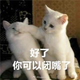 霓玥66