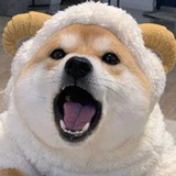 水月科技
